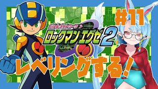 【アドコレ/ロックマンエグゼ2】使い手側のレベリング＃11【Vtuber】