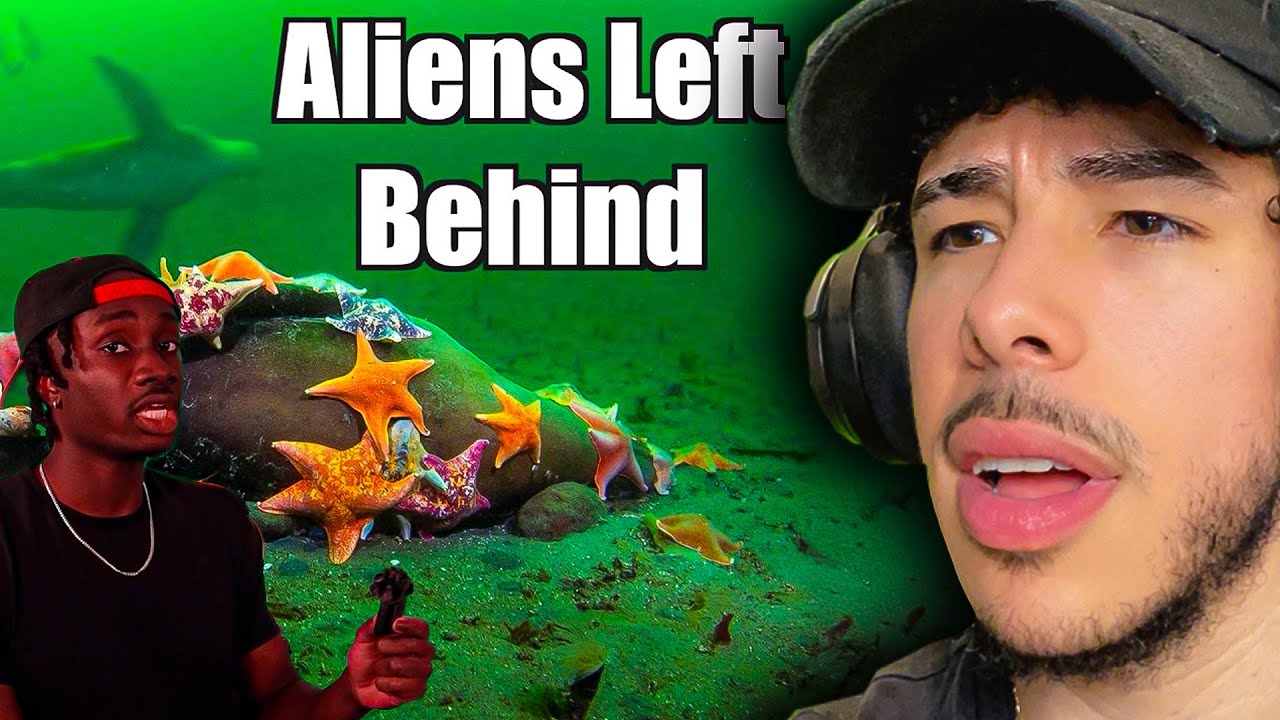 Океан гораздо страшнее, чем мы думали 😨