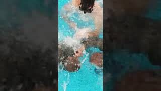 Buddy breathing at Indoc