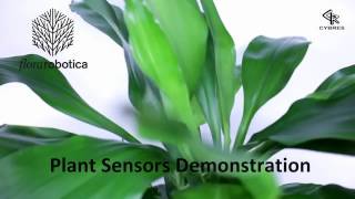 Cybertronica Phytosensor