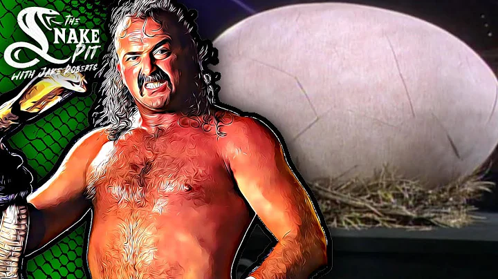 Jake The Snake Roberts on The Egg at Survivor Series 1990