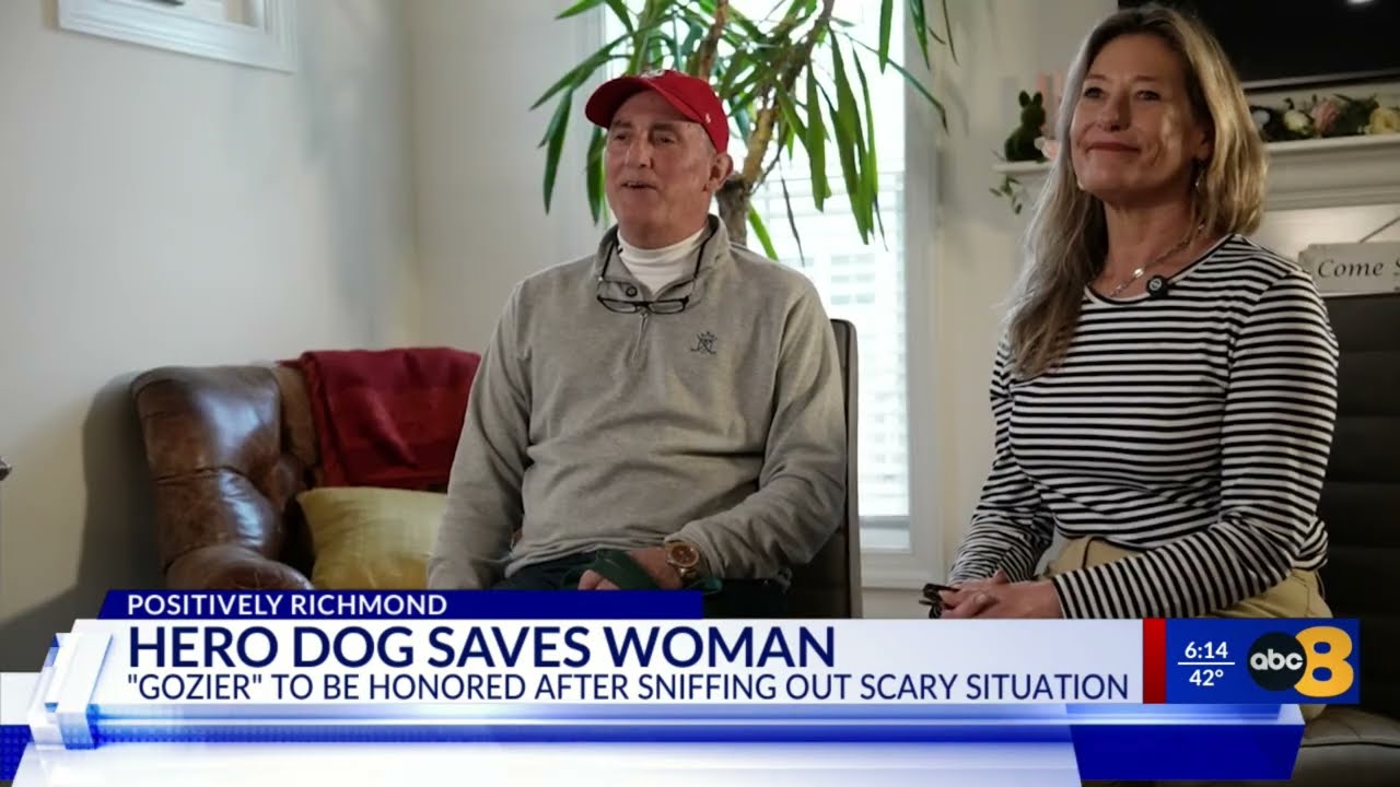 Source: YouTube https://search.app/Dg2kj