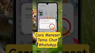 Cara Mereset Tema Chat WhatsApp #resettemachatwhatsapp #aturulangtemachatwhatsapp #resetlatarchatwa
