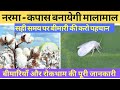 नरमा - कपास में बीमारी आने से पहले रखें ध्यान - नहीं होगा नुक़सान ॥ Cotton Farming in India