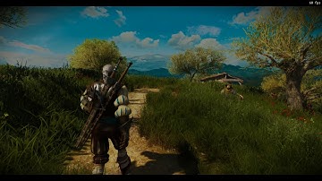 The Witcher 3 global illumination