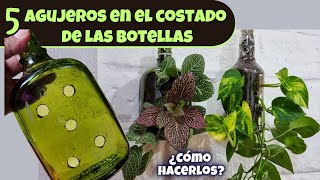 CÓMO HACER 5 AGUJEROS EN EL FRENTE DE LAS BOTELLAS redondas y convertirlas en maceta/Liliana Muñoz