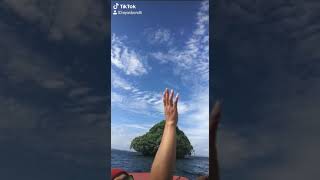 Solomon island