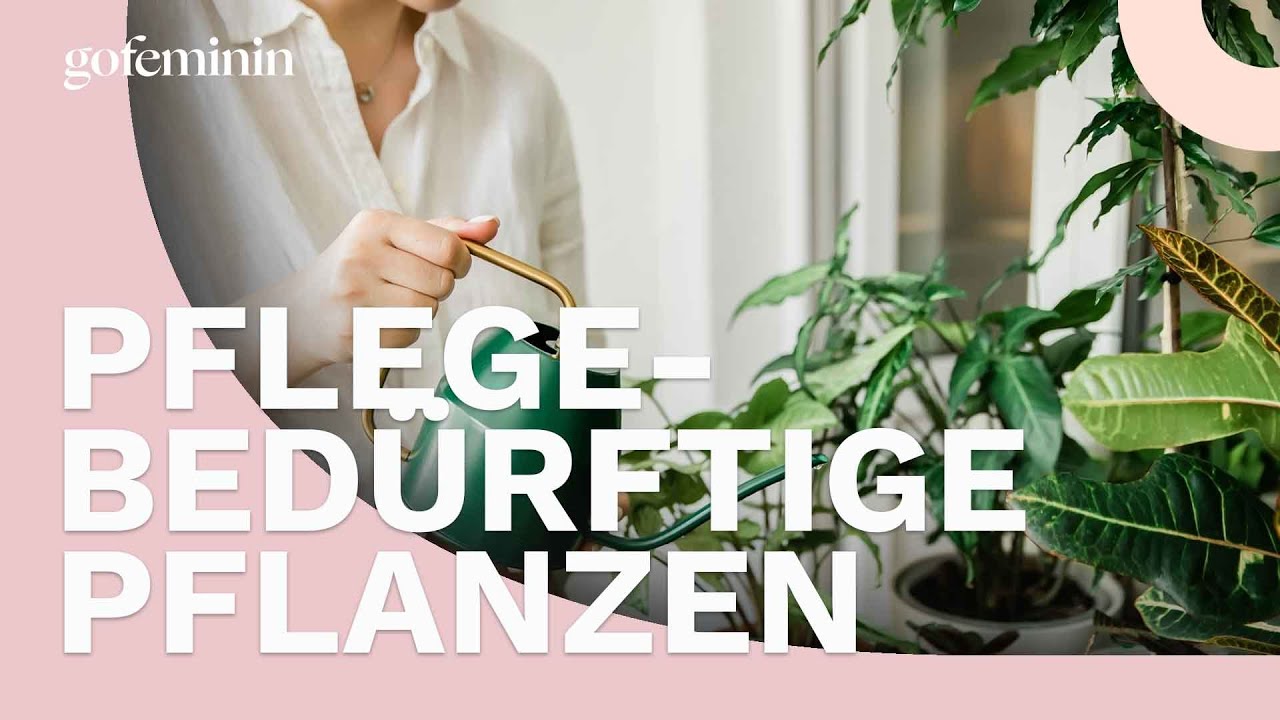 Diese Trend-Pflanzen sind besonders pflegebedürftigt