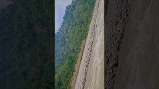 darjeeling district #story #panda #love #whowillbemylifepartnerta