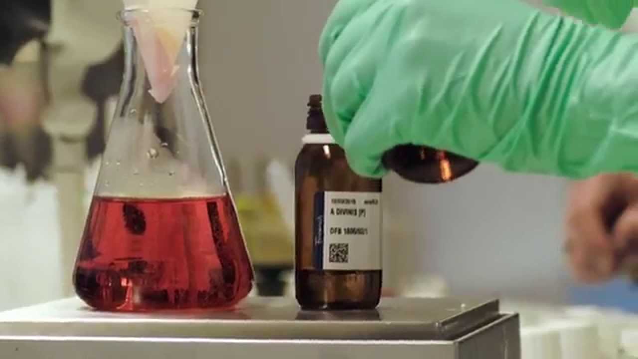Lhistoire De La Création Du Parfum Giordani Gold Essenza Youtube