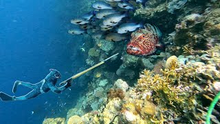 Berjuang Menombak Ikan Penghuni Gua Bawah Laut | Tangkap & Makan Saat Badai Melanda