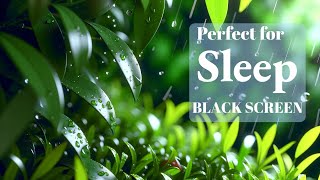 3 Hour Relaxing Piano Music with Rain & Thunder Sounds for Sleep,Relaxing,MeditationRain Lines★2