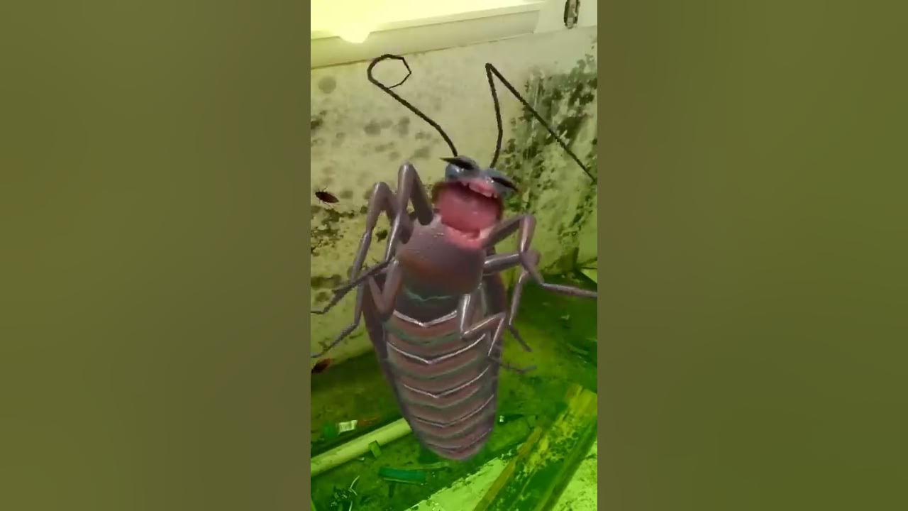La cucaracha La cucaracha