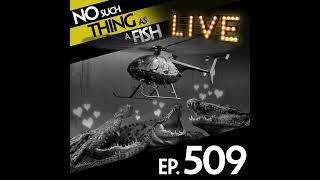 Ep 509: No Such Thing As A Sausage Dog Helicopter
