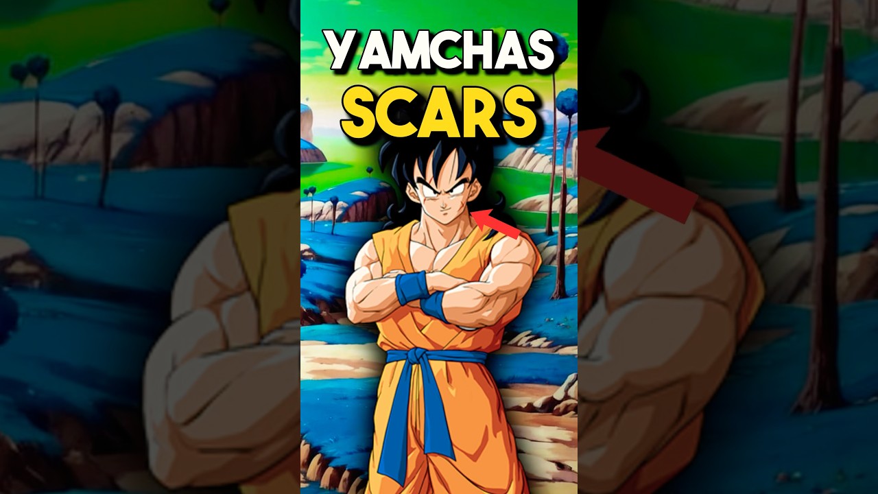 Who Gave Yamcha His Scars? 
