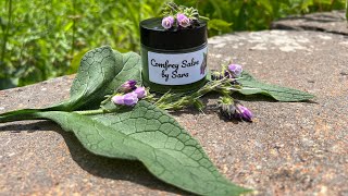 Simple Comfrey Salve Recipe