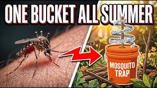 This DIY Mosquito Trap Works Automatically!