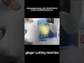 Automatic ginger cutting machine ginger shredding machine ginger slicing machine ginger cutter