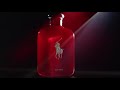 Polo Red - Eau de Parfum - RALPH LAUREN