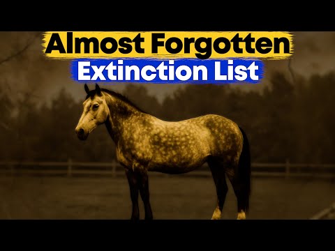 30 Rare Horse Breeds on the Brink of Extinction
