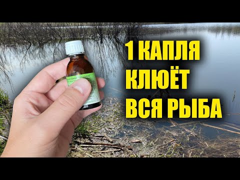 ЛЕТОМ ВСЯ РЫБА КЛЮЁТ НА ЭТО! ВСЕГО 1 КАПЛЯ И КЛЮЁТ ВСЯ РЫБА!
