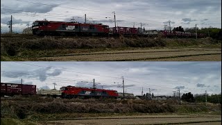 EH500-3 3086レ+EH500-36 93レ　2022 3/31