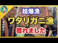 【漁師まさと】ワタリガニ漁だったはずが、アレが大漁に！10000匹獲れた物はなんと！【釣り 瀬戸内 漁師 切り抜き fish fishing fisherman SETOUCHI 船 給料】
