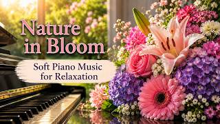 Nature in Bloom | Soft Piano Music for Relaxation screenshot 3