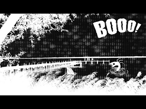 Как перестать бояться и полюбить литературу ужасов?