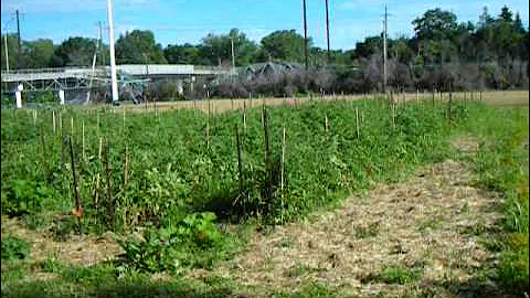 Agricultural farm facilities, University of Delaware