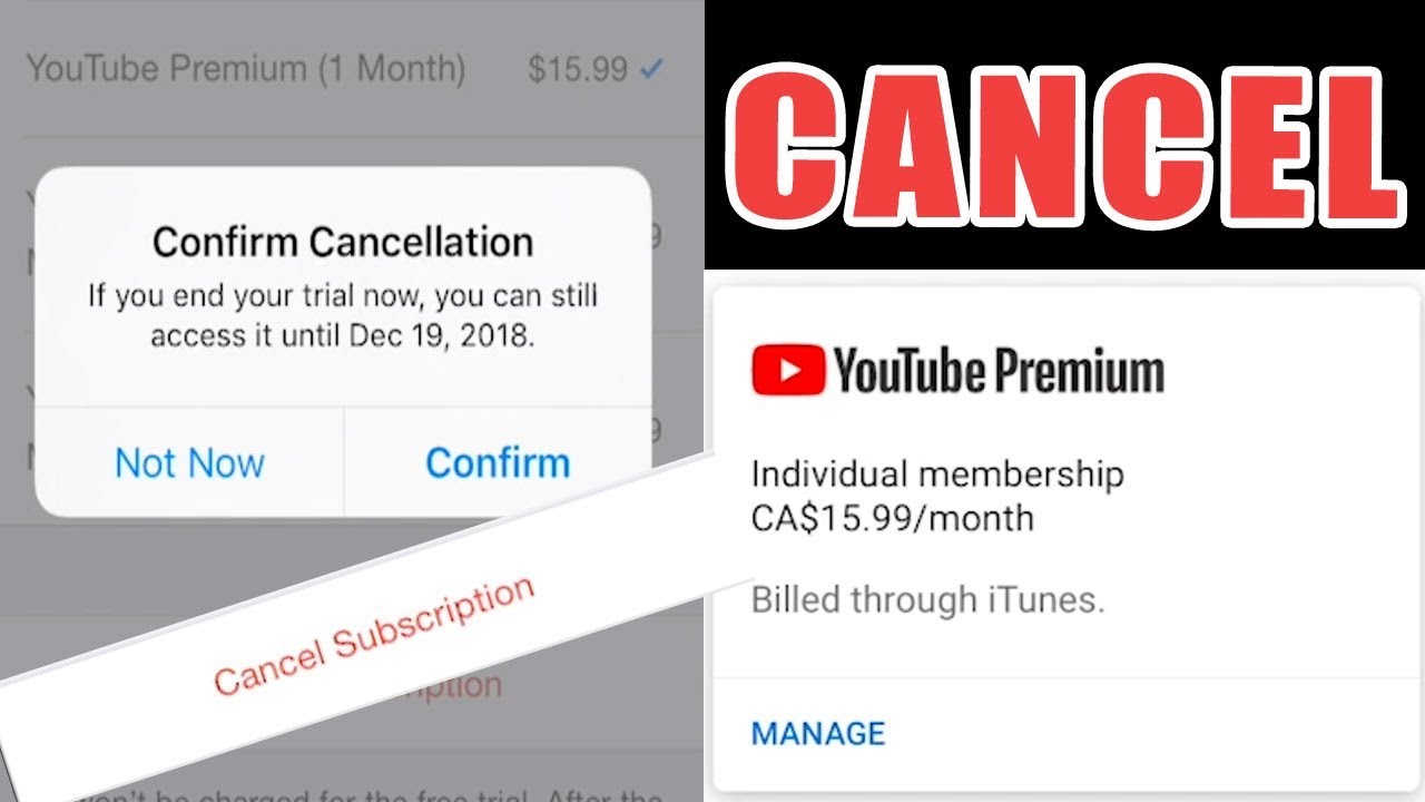 Membership youtube cancel Many users