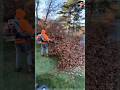 The Most Satisfying Way to Clean Leaves! 🍂 #Shorts #Satisfying #EcoFriendly