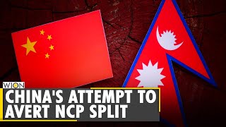 Nepal: Chinese delegates meet Prime Minister K.P. Sharma Oli | Chinese Communist Party | World News