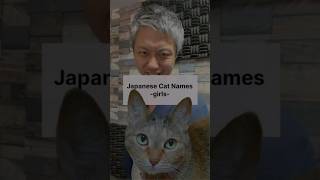 Japanese female cat name recommendations ๐ฑ