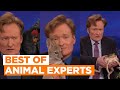 Best of animal experts black palm cockatoo  brown bear cub  conan on tbs