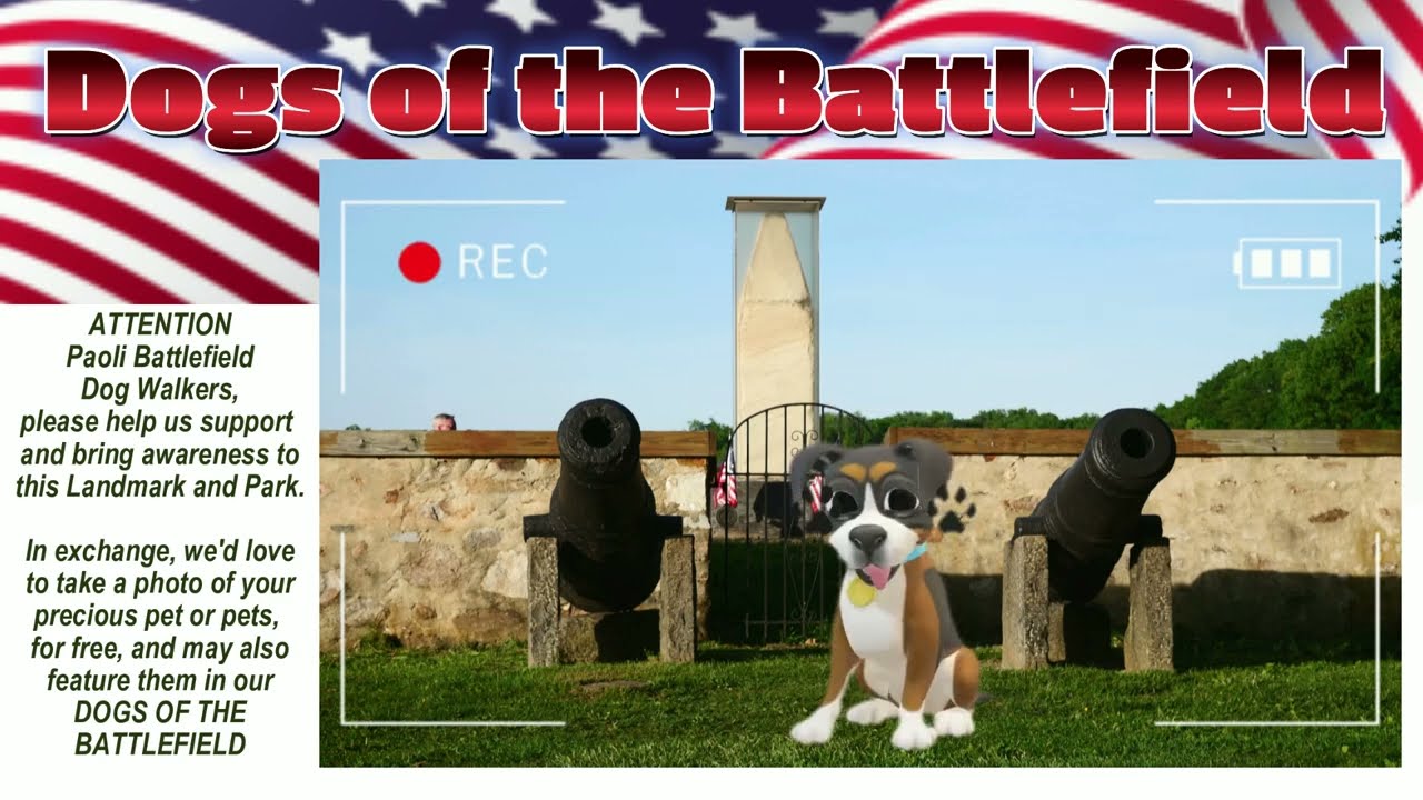 Show your Support for Dogs of the Battlefield