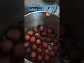 #asha Gulab jamon kabhi nahi khaya ho ga 🌹🧆 Recipe ke liye coment kare