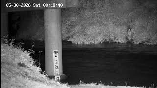 Headwaters Outfitters Live Stream
