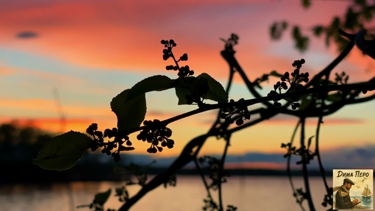 Оставайся Человеком!           #димаперо #шансон #душа #музыка #automobilemusic