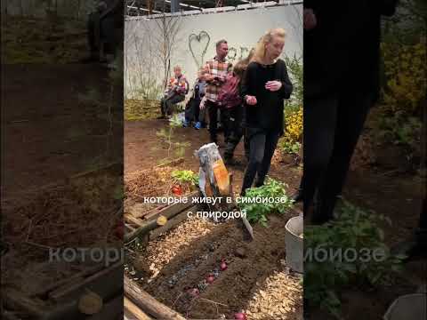 Две недели назад