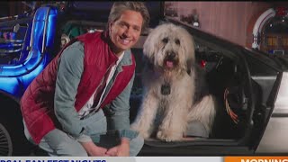 Inside the Back to the Future Fan Fest Night @ Universal Studios Hollywood