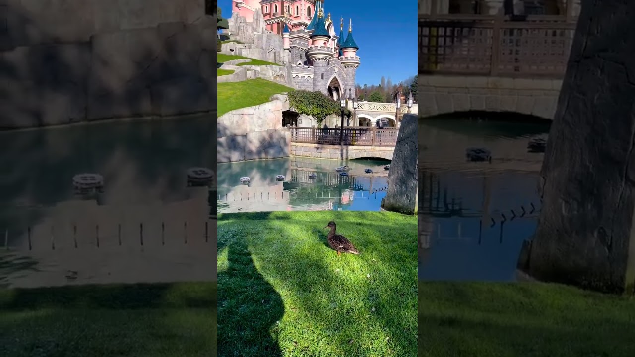 Sleeping Beauty Castle at Disneyland Paris