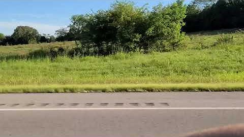 C6 single turbo 730whp vs mustang 5.0 twinturbo 850whp