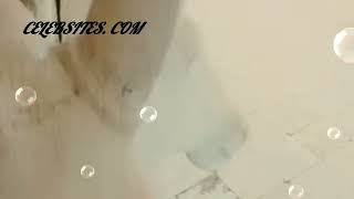 Ye Dil Ashiqana Jividha Sharma With Karan Nath.........