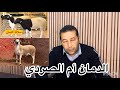 من هو الأفضل الدمان أم الصردي  mp3