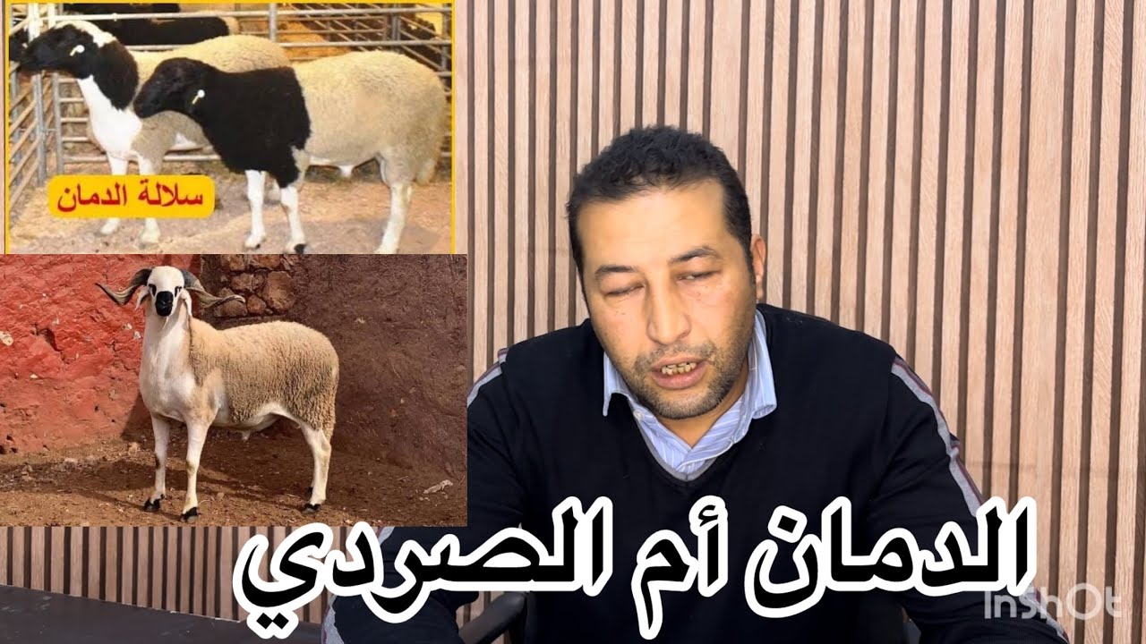 من هو الأفضل الدمان أم الصردي !!!!!