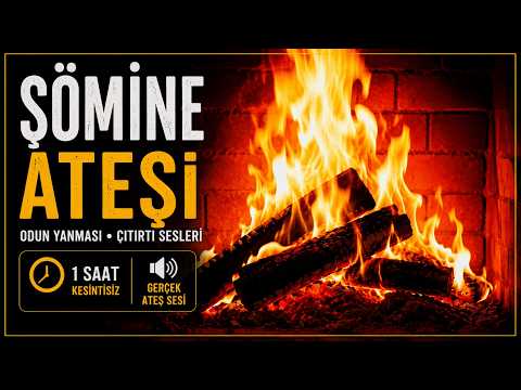 🔥 1 Saat Gerçek Şömine Ateşi ve Odun Çıtırtısı | Rahatlama • Uyku • Ders Çalışma | Fireplace Sounds