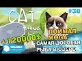 Cat Goes Fishing Прохождение ◗ MOGA за 120000$ ◗ I'VE GOT MOGA- the most expensive fish