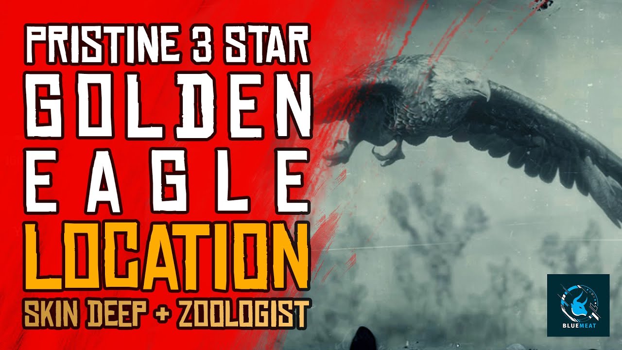 Red Dead Redemption 2 Golden Eagle Location How to Hunt a Perfect Eagle Carcass and Eagle