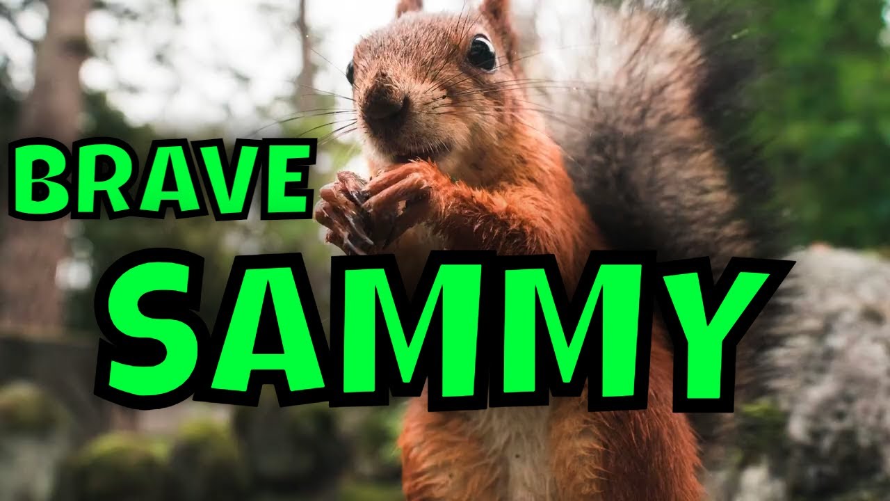 the-brave-squirrel-toddlers-bedtime-stories-sleepy-bedtime-stories